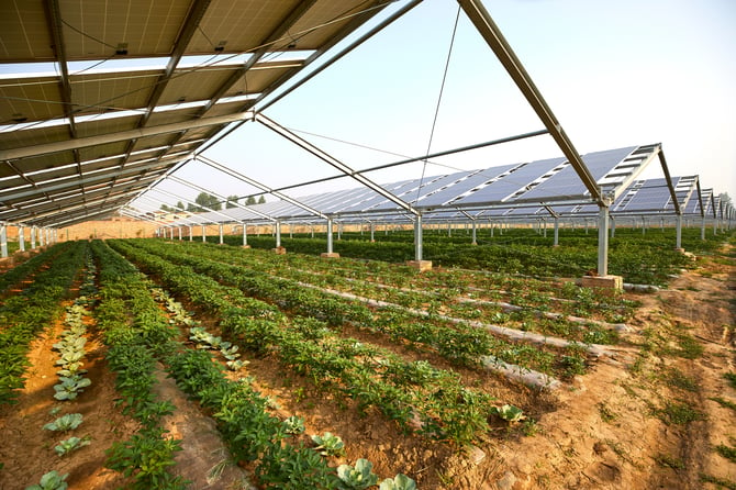 Agri-Photovoltaik-Anlage Italien